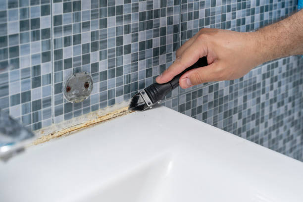 Best Mold Removal Company Near Me  in Elizabeth Lake, CA