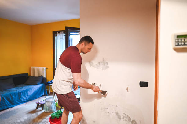 Best Attic Mold Removal  in Elizabeth Lake, CA